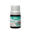 aceite ambar new delhi